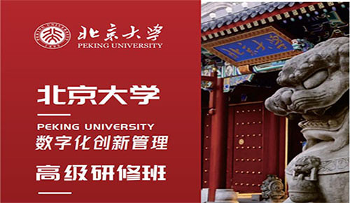 北京大学数字化创新管理高级研修班