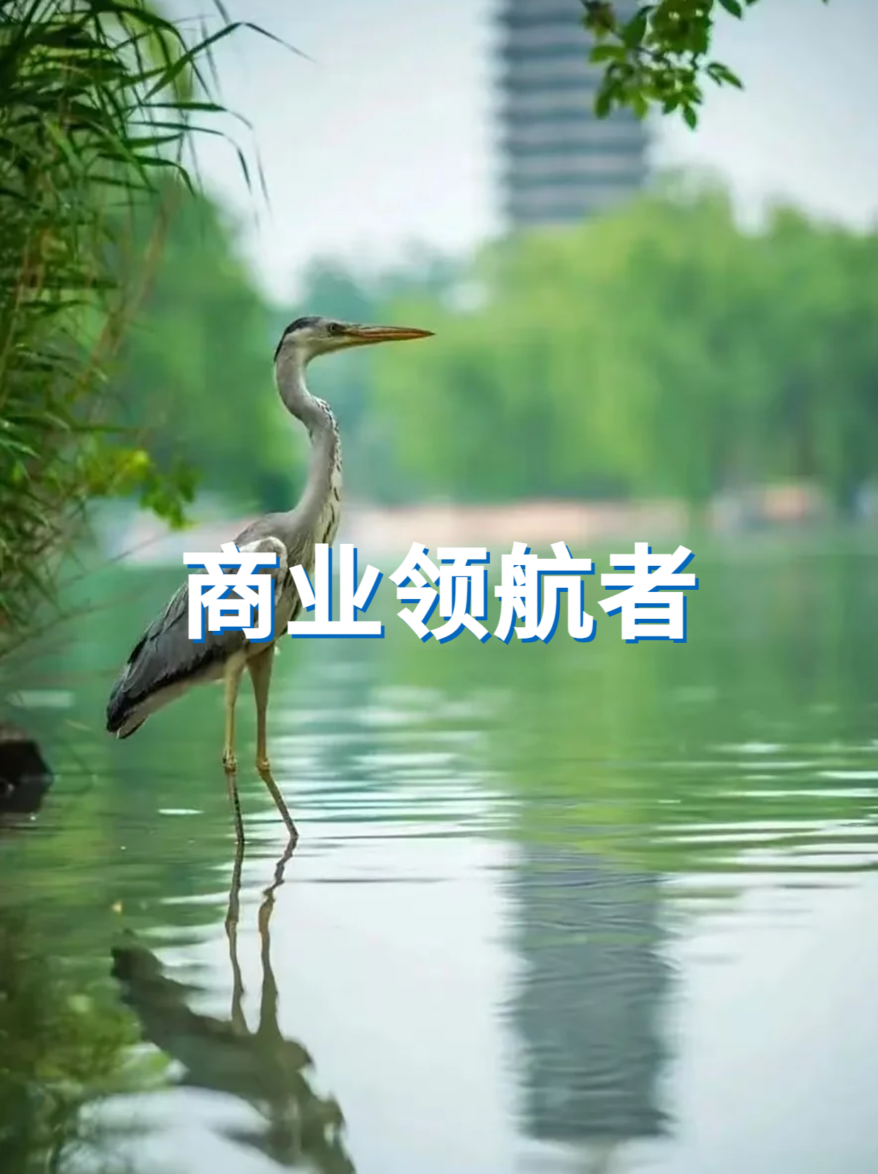 北京大学心理学研修班