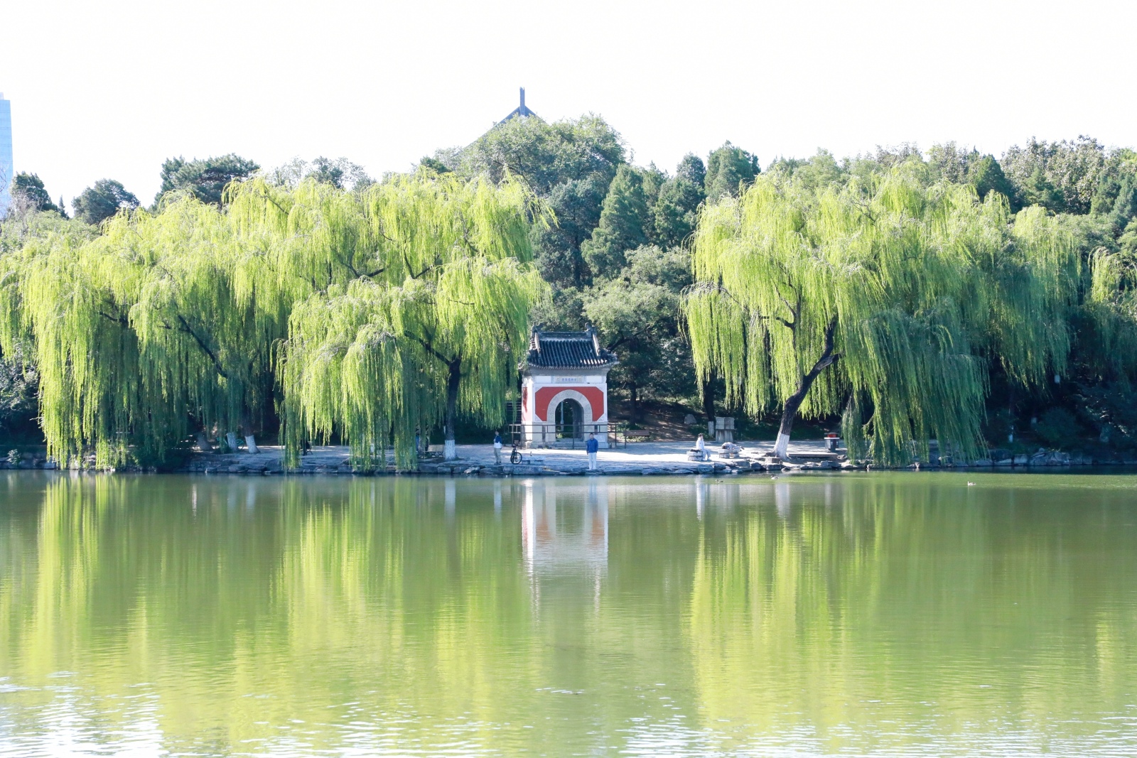 北京大学AI时代商业领航者研修班